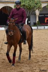 Caballerizas Reales de Córdoba