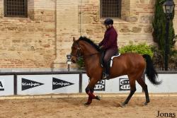 Caballerizas Reales de Córdoba