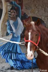Caballerizas Reales de Córdoba