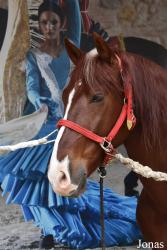 Caballerizas Reales de Córdoba