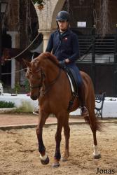Caballerizas Reales de Córdoba