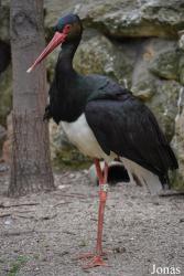 Zoo Córdoba