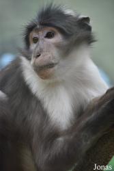 Zoo Córdoba