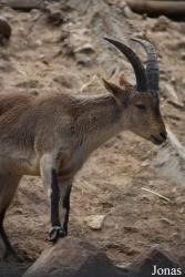 Zoo Córdoba