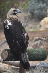 Zoo Córdoba