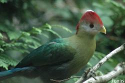 Vogelpark Walsrode