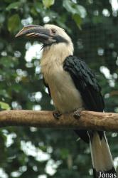Vogelpark Walsrode