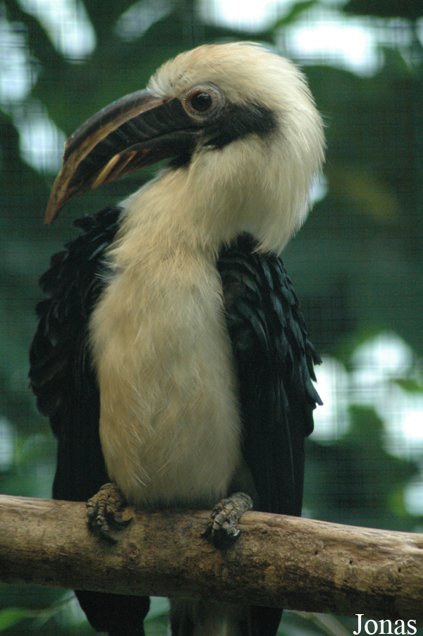 Vogelpark Walsrode