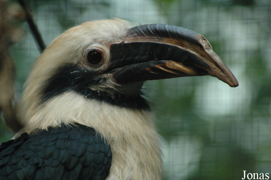 Vogelpark Walsrode