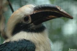 Vogelpark Walsrode