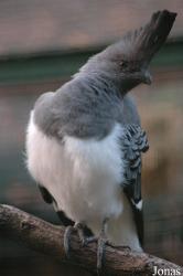 Vogelpark Walsrode