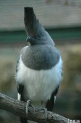Vogelpark Walsrode
