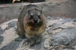 Parc Animalier de Bouillon