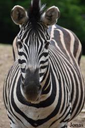 Parc Animalier de Bouillon