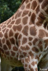 Parc Animalier de Bouillon