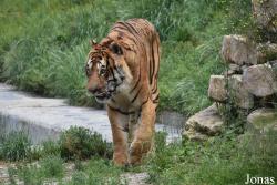 Parc Animalier de Bouillon