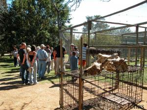 Groupe de visiteurs et outils pédagogiques