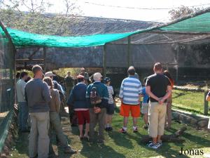 Volière des rapaces et groupe de visiteurs