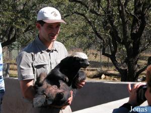 Ratel et guide