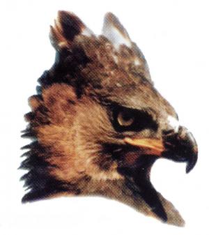 Logo 2004