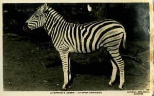 Carte postale