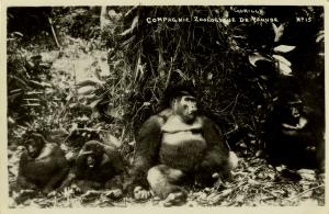 Carte postale
