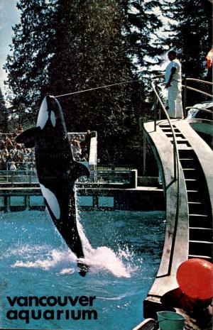 Guide env. 1972