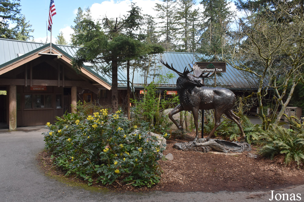 northwest trek zoo lights