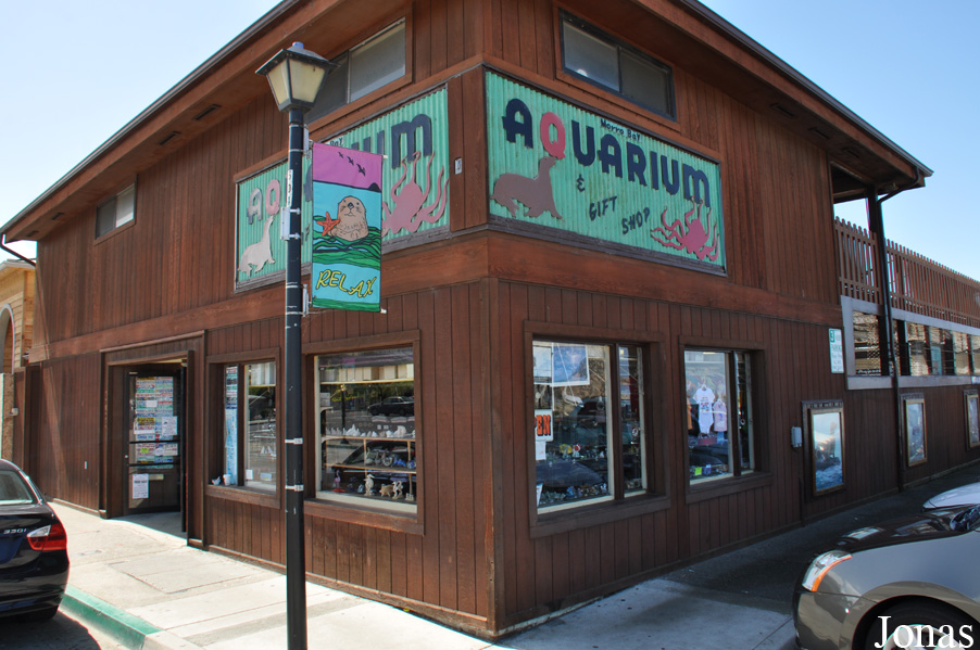 Les Zoos Dans Le Monde - Morro Bay Aquarium