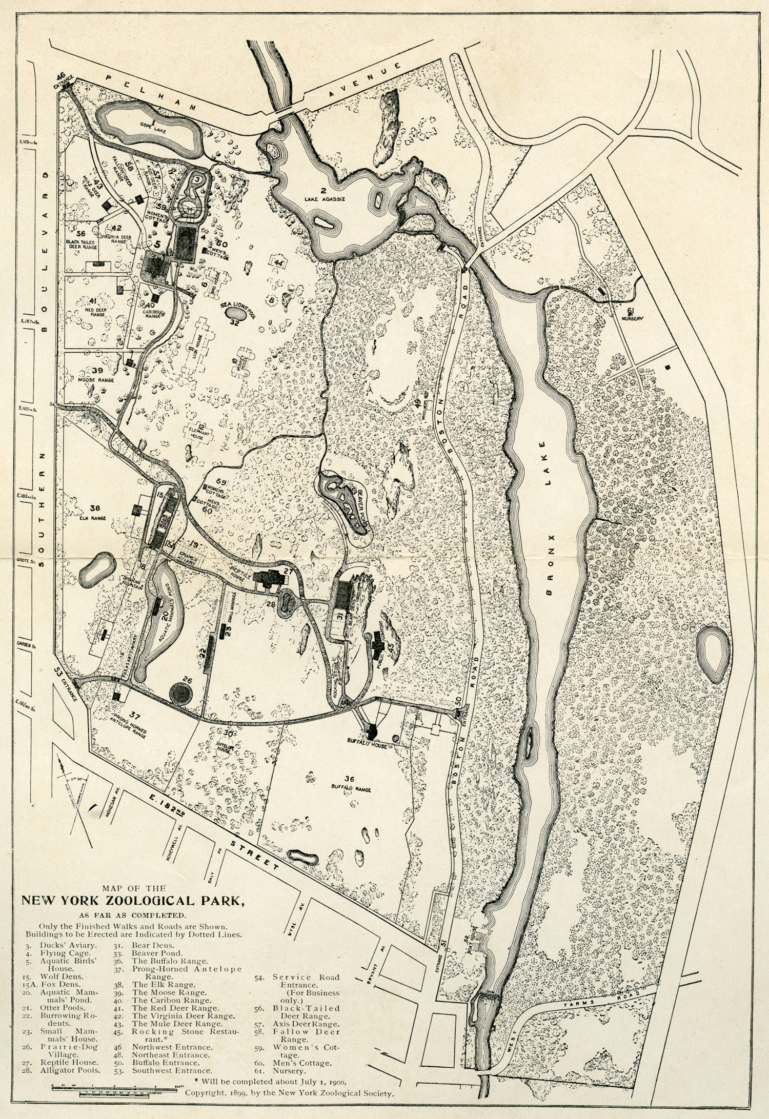 City plan New York City Autocad