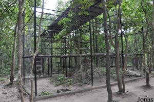 Un des nombreux enclos pour gibbons à bonnet