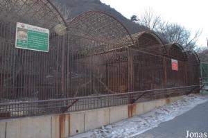 Cages des lynx boréals