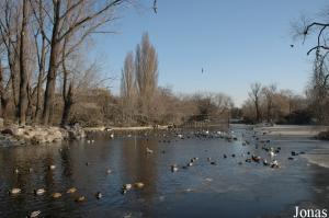 Un des vastes plans situé dans le parc