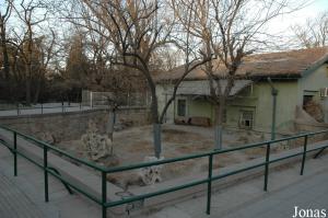 Enclos des petits pandas, accolé à l'ancien bâtiment