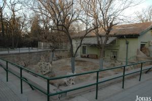 Enclos des petits pandas, accolé à l'ancien bâtiment