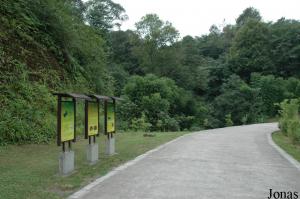 Allée