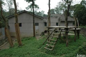 Un des enclos du Panda breeding station