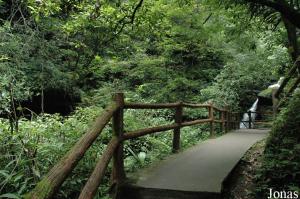 Gorges de Bifengxia