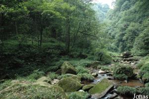 Gorges de Bifengxia