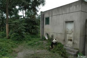 Un des enclos du White bear ground