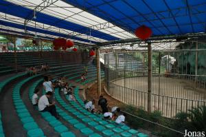 Arène pour les spectacles de fauves