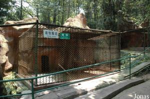 Cage du lynx