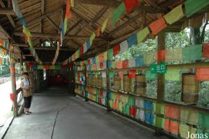 Exposition sur la médecine traditionnelle