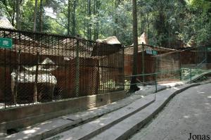Cages du muntjac et du lynx