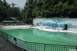 Bassin des otaries