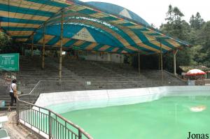 Zone de spectacle avec des otaries