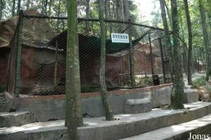 Cage du petit panda