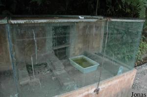 Un des nombreux terrariums