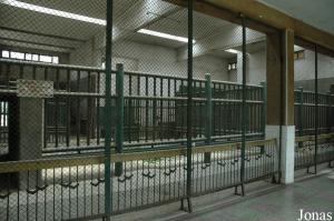 Loges des éléphants