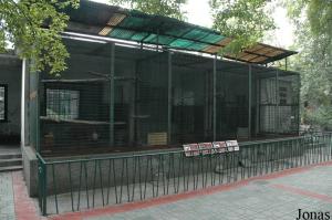 Troisième bâtiment entouré de volières